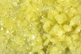 Bright-Yellow Sulfur Crystals - Bolivia #305312-1